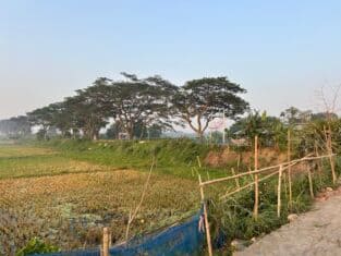 Distant view of village
